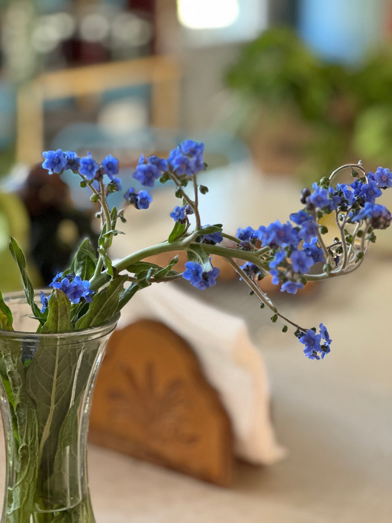 Saving Summer Flowers