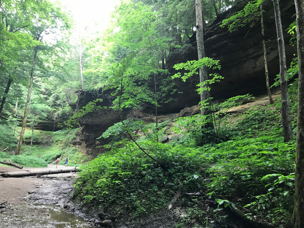 Hiking Turkey Run State Park