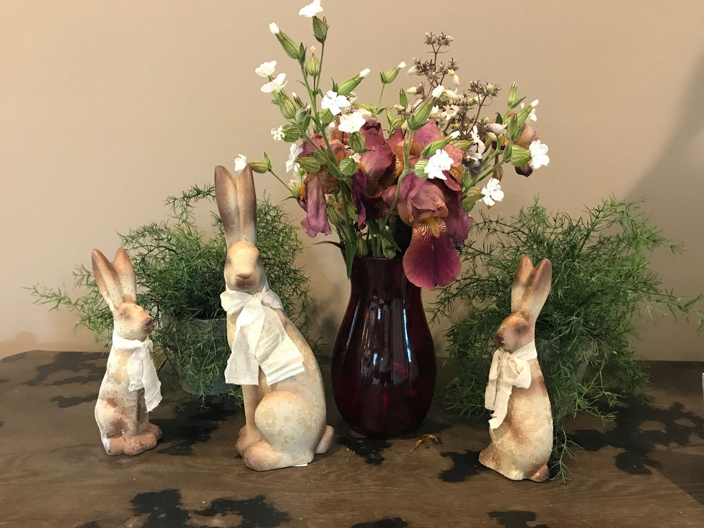 Rabbits at My Parents House