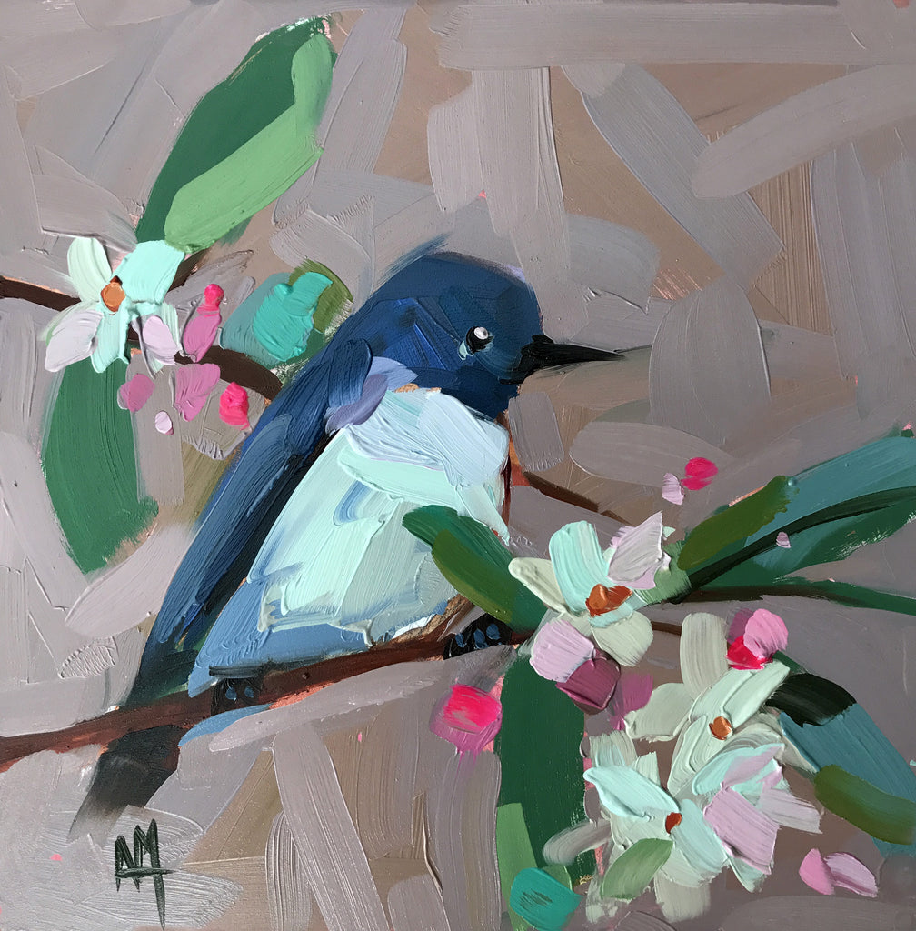 I've Started Vlogging