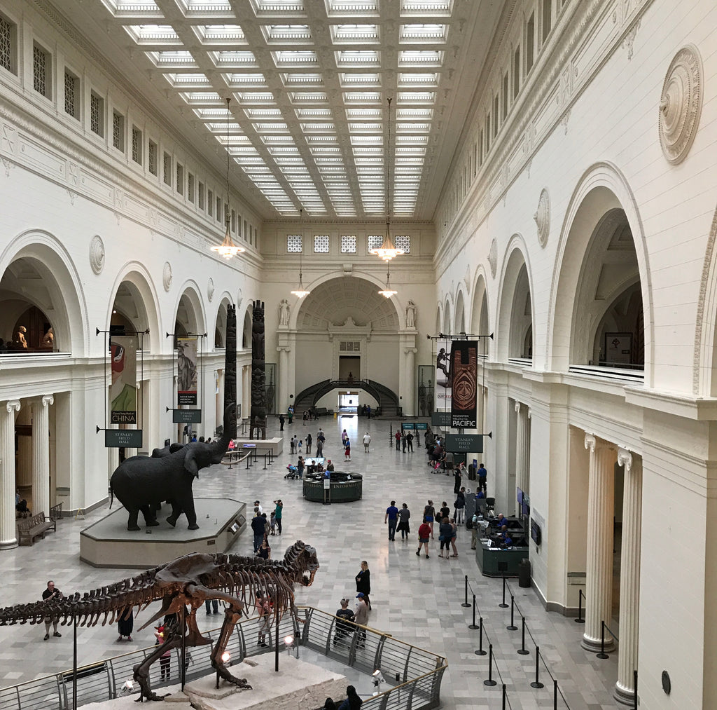 Trip to the Field Museum Chicago