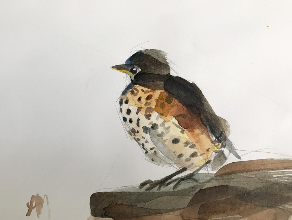 Fledgling Robin Watercolor Painting Demo