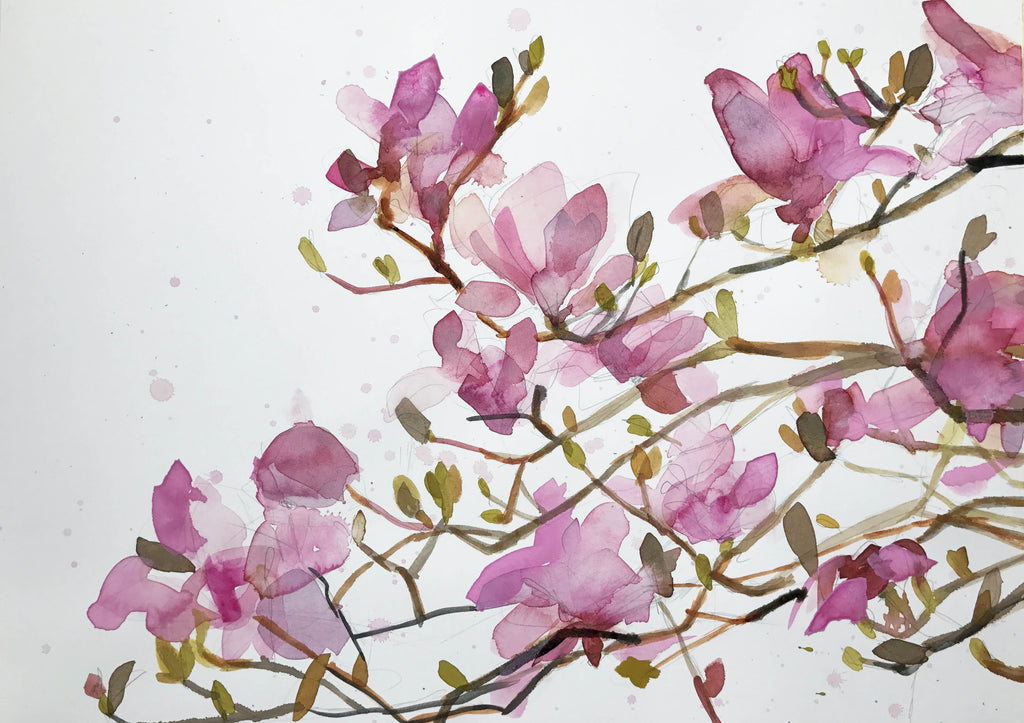 Watercolor Magnolias