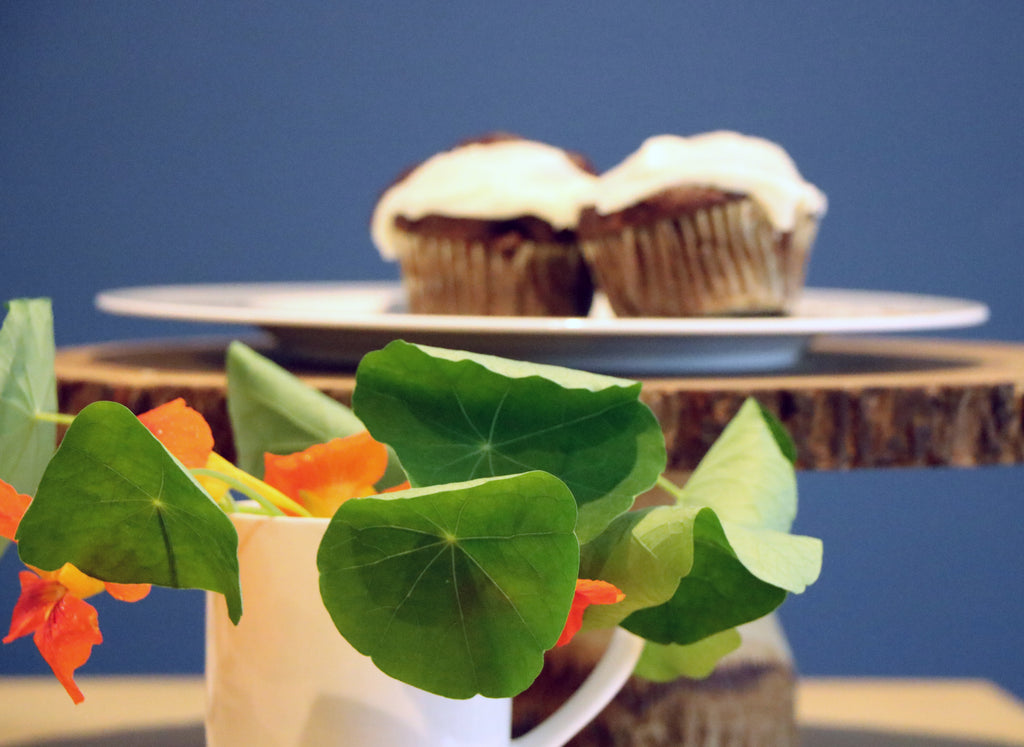 Cupcakes and Garden Nasturtium Flowers