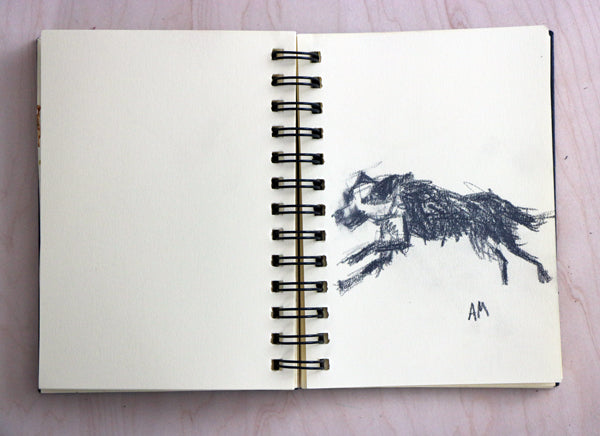 Practice Drawing Dogs