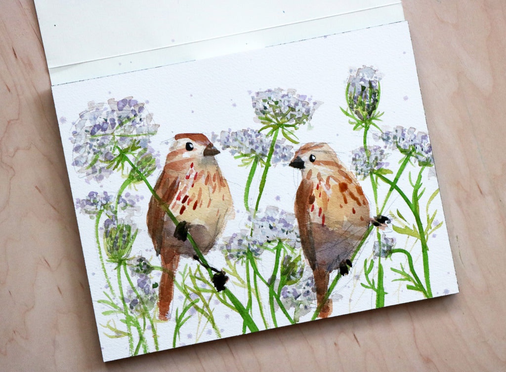 Two Song Sparrows and Queen Anne's Lace
