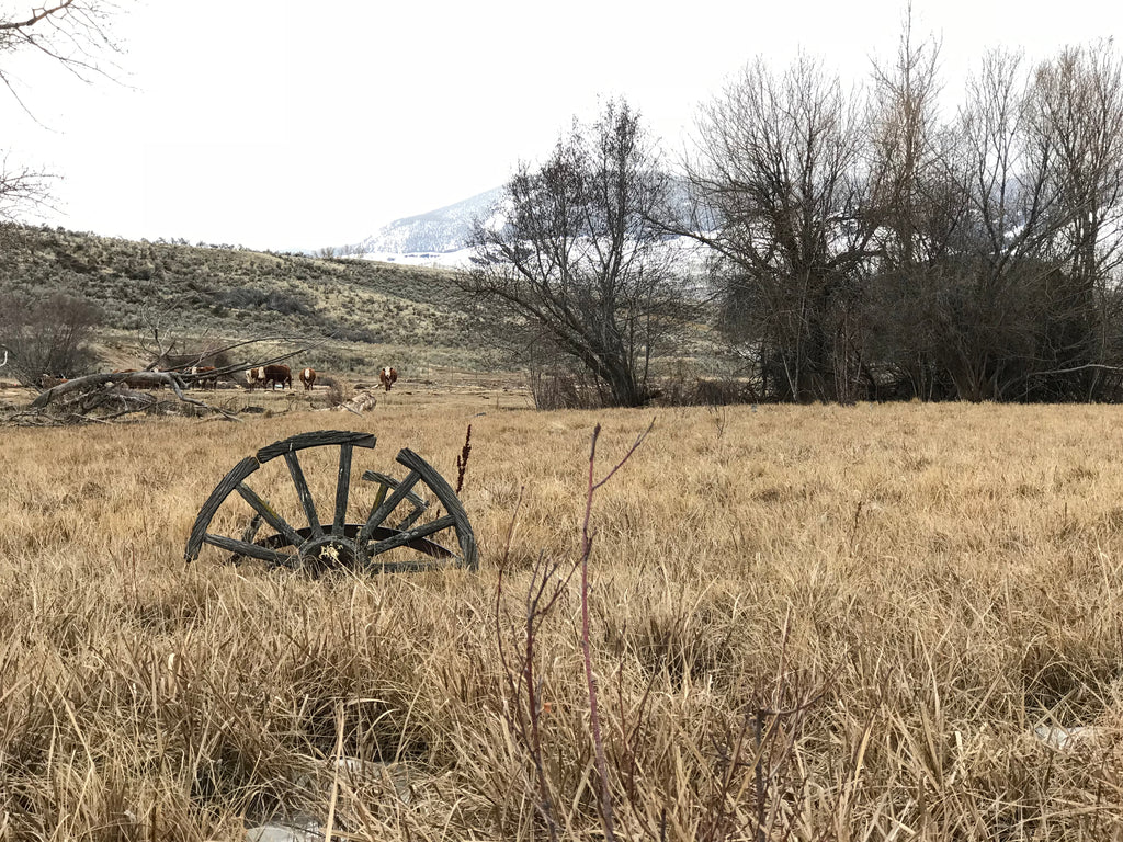 Out West