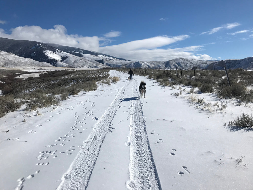 Taking a Walk On Top of the World