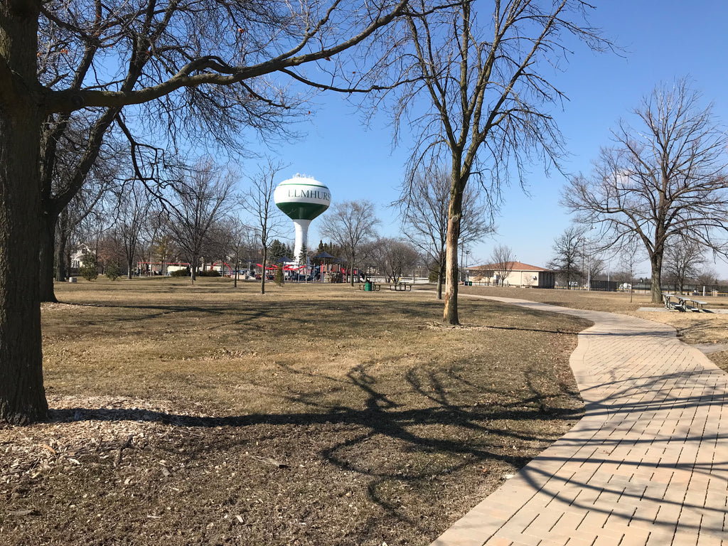 At the Park
