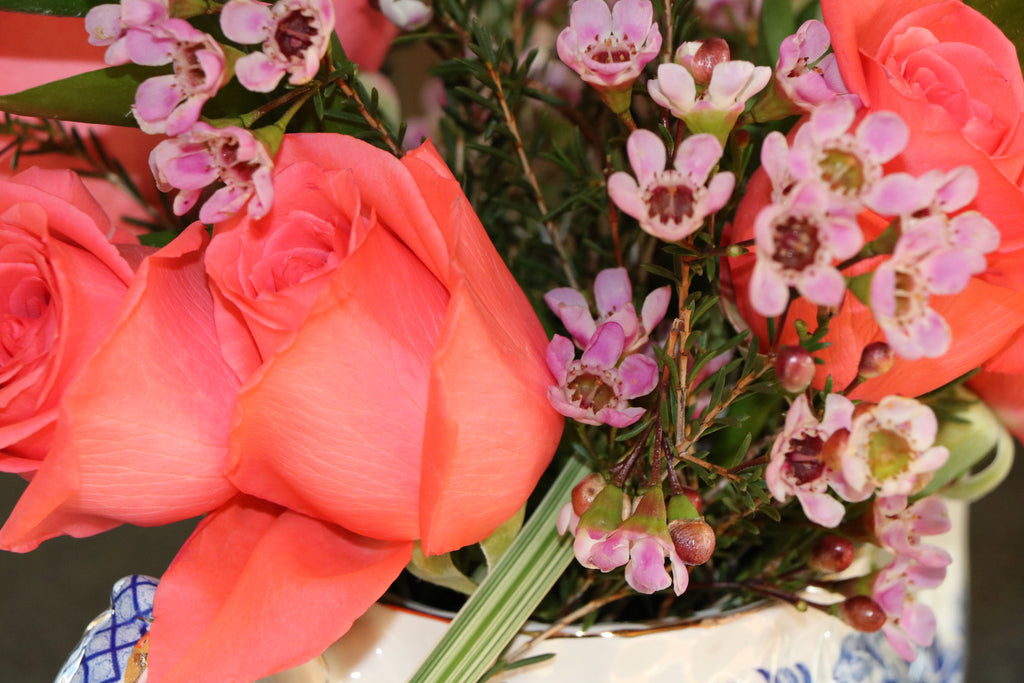 Coral Roses