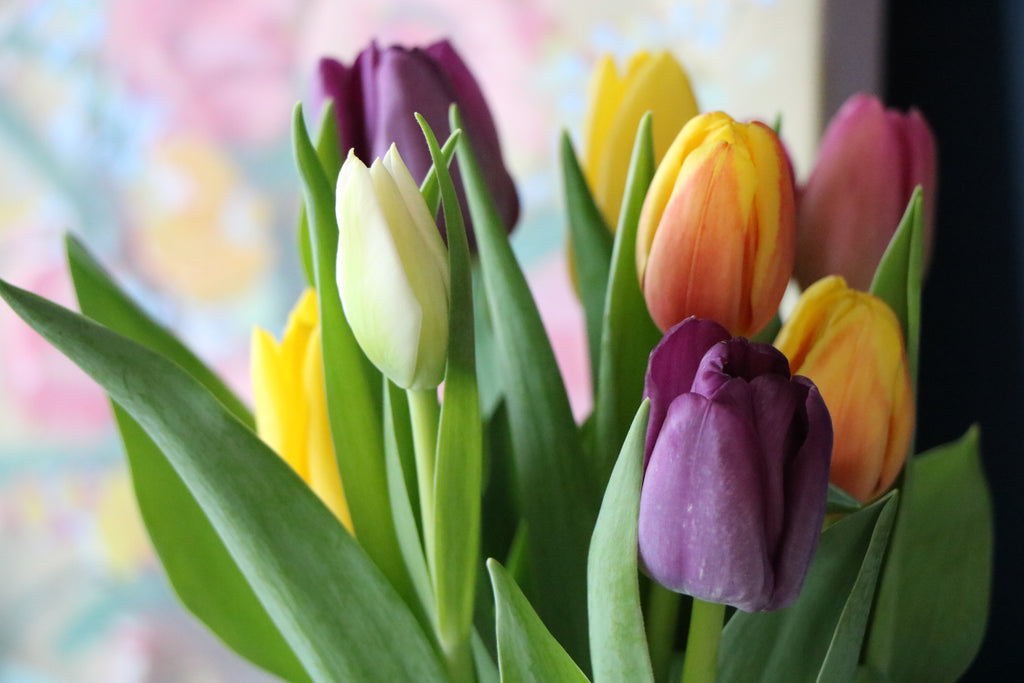 Spring Flowers in the Home