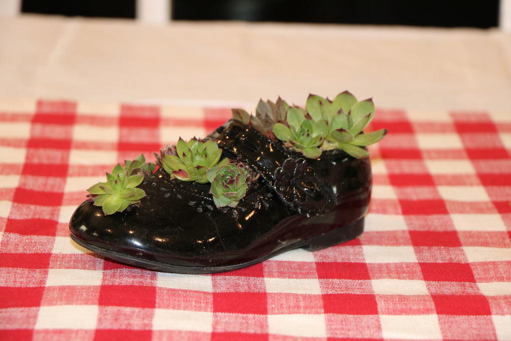 Adorable Patent Leather Succulent Planter