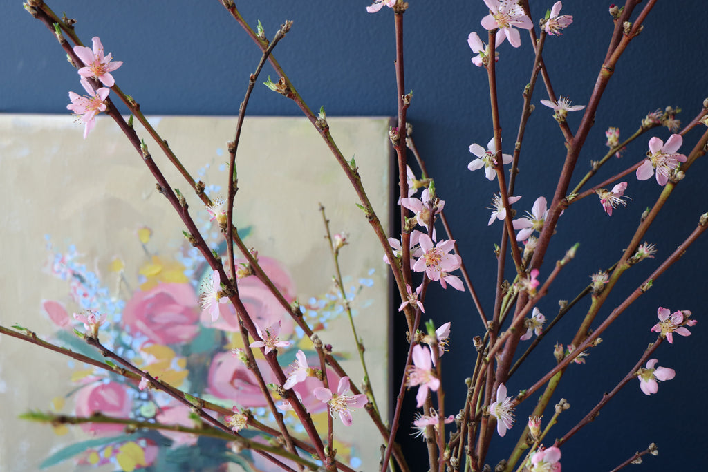 Almond Blossoms