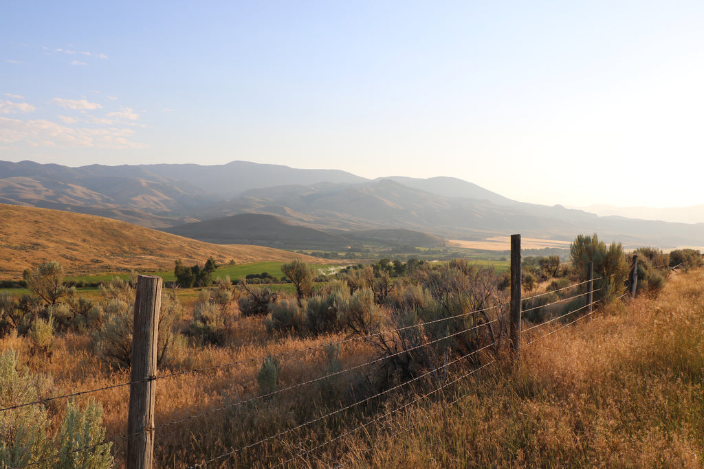 Just Got Back from Idaho