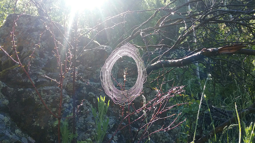 Painting a Spider's Web