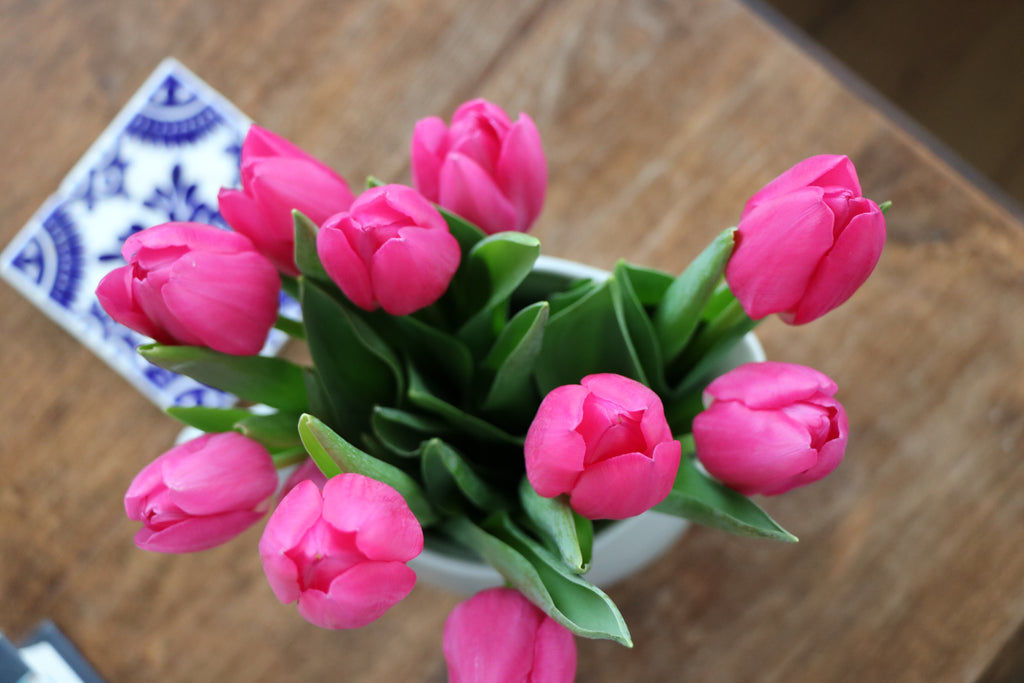 Pink Tulips