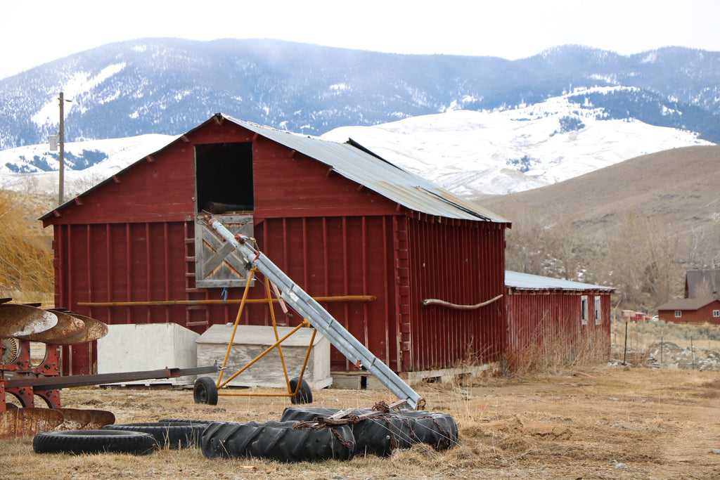 Old Buildings on New Ranch Property