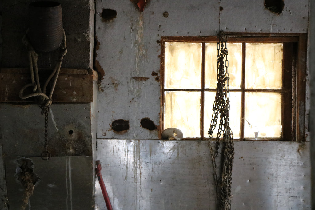 What's Inside an Old Barn?