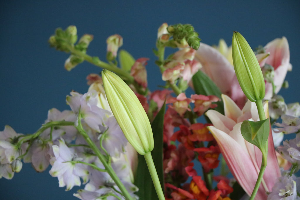 Spring Flowers and Watercolor Paintings