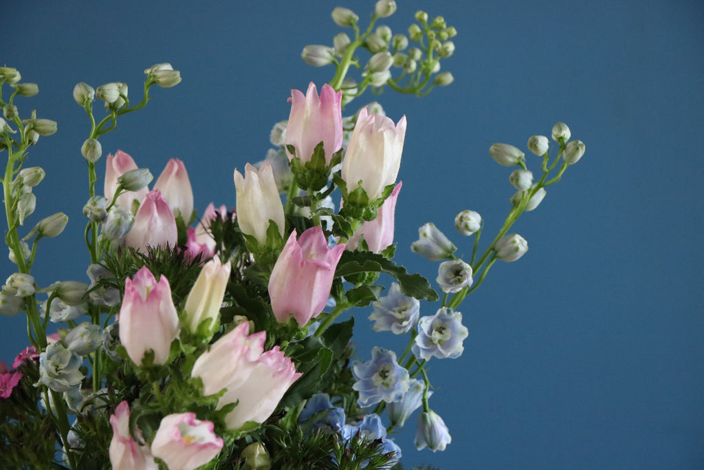 Spring Flowers in the Dining Room