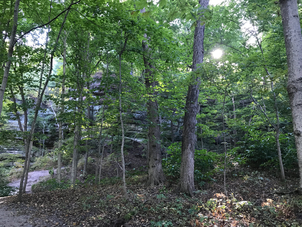 Starved Rock State Park in October