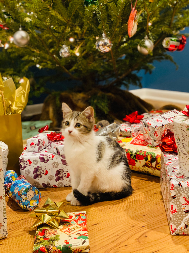 Holiday Cheer