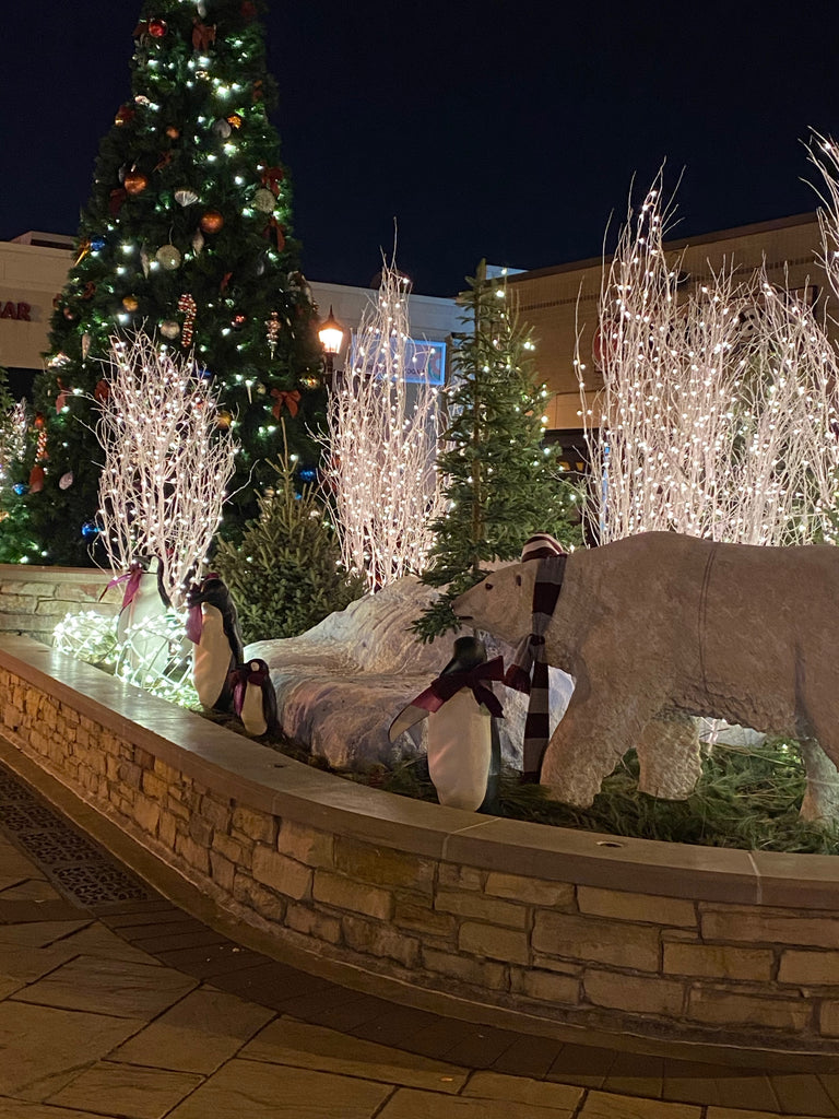 Holiday Lights and Thoughts for the New Year