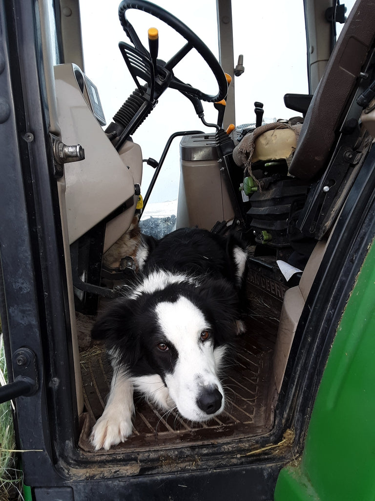 Tractor Time