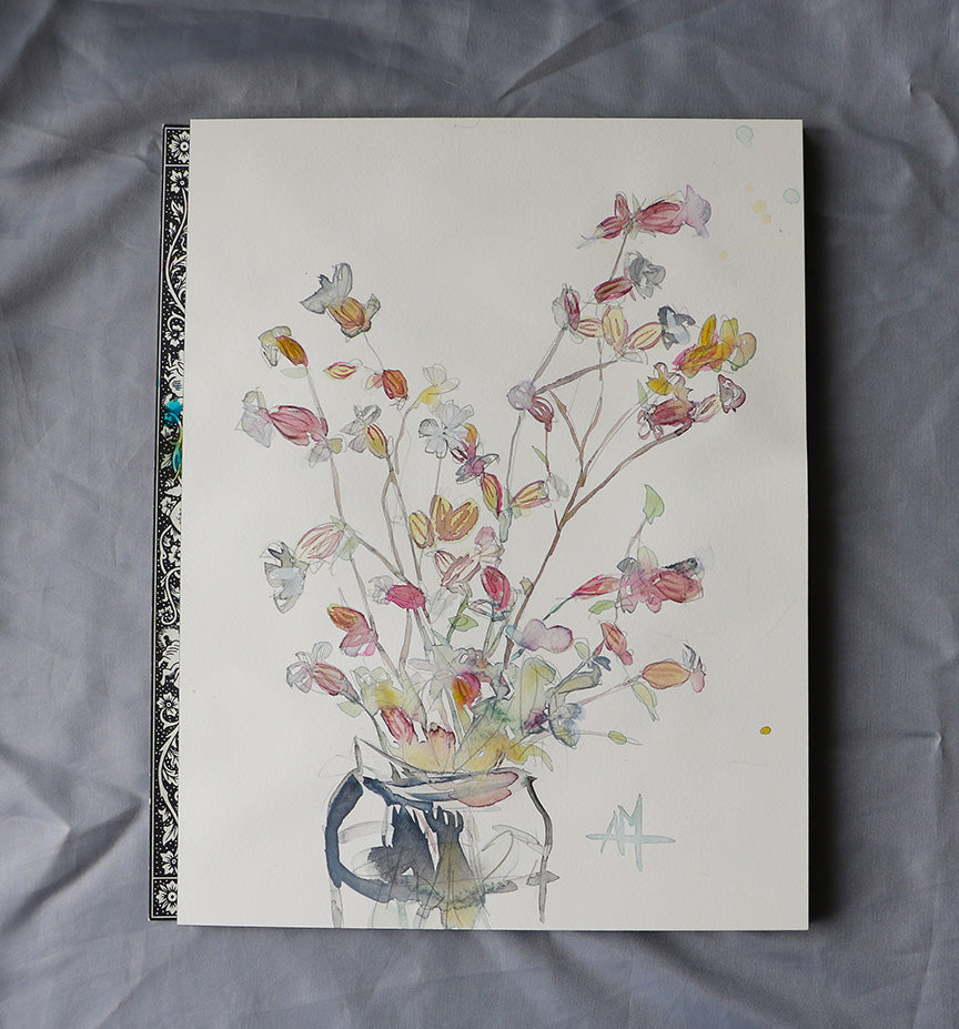 Bladder Campion Watercolor Painting