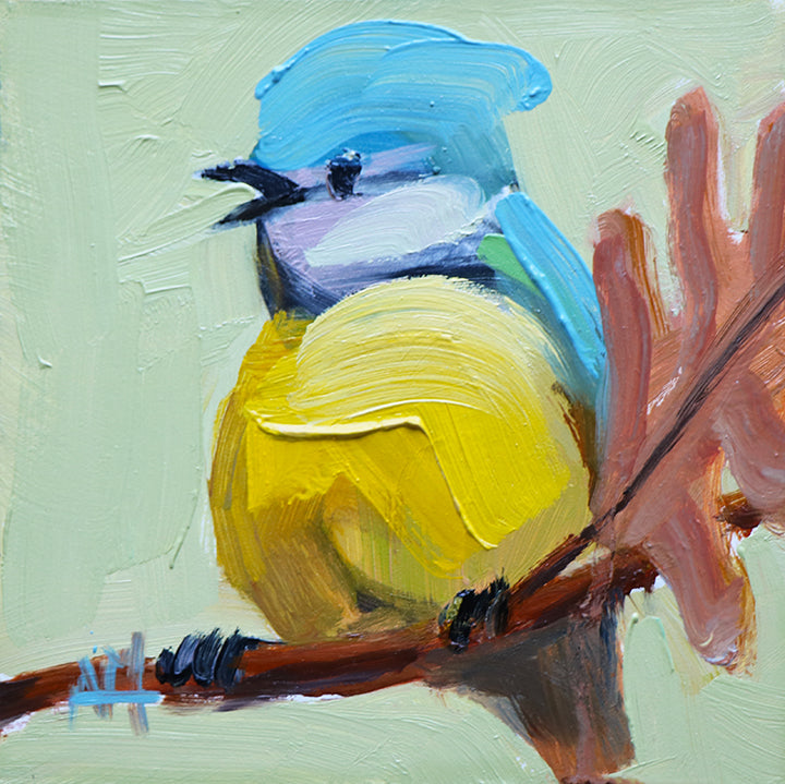 New Fall Birds