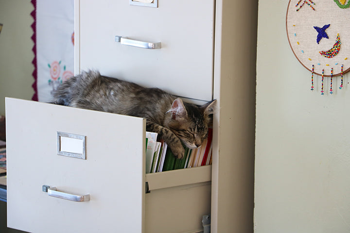 Naptime
