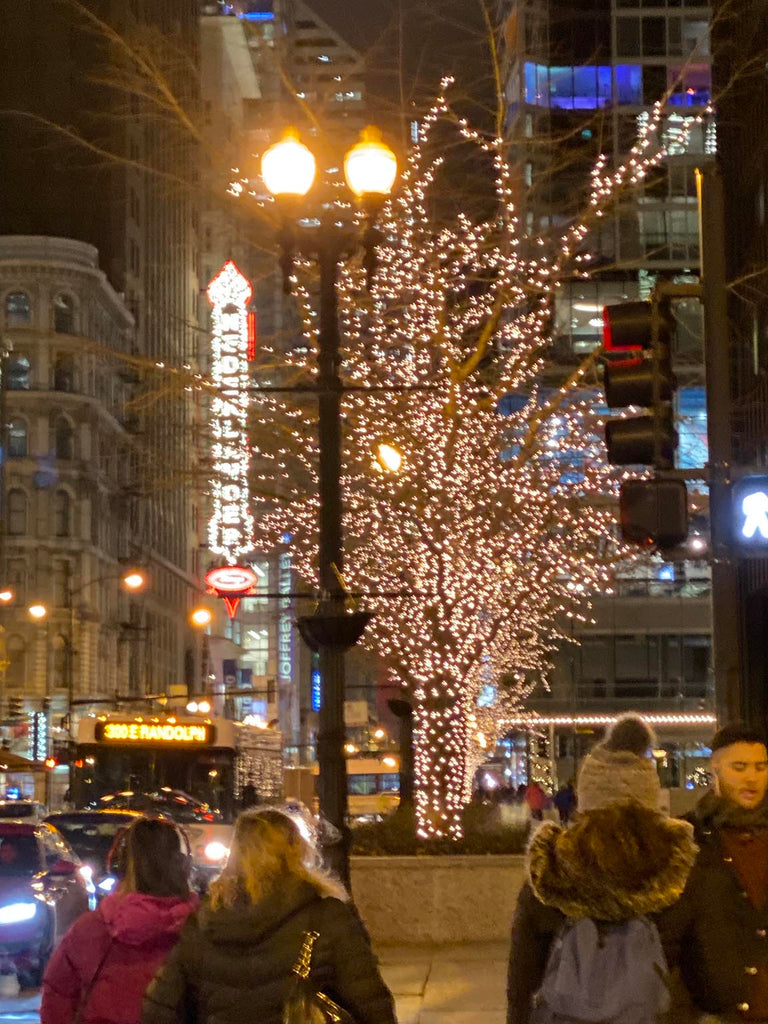 Holiday Lights