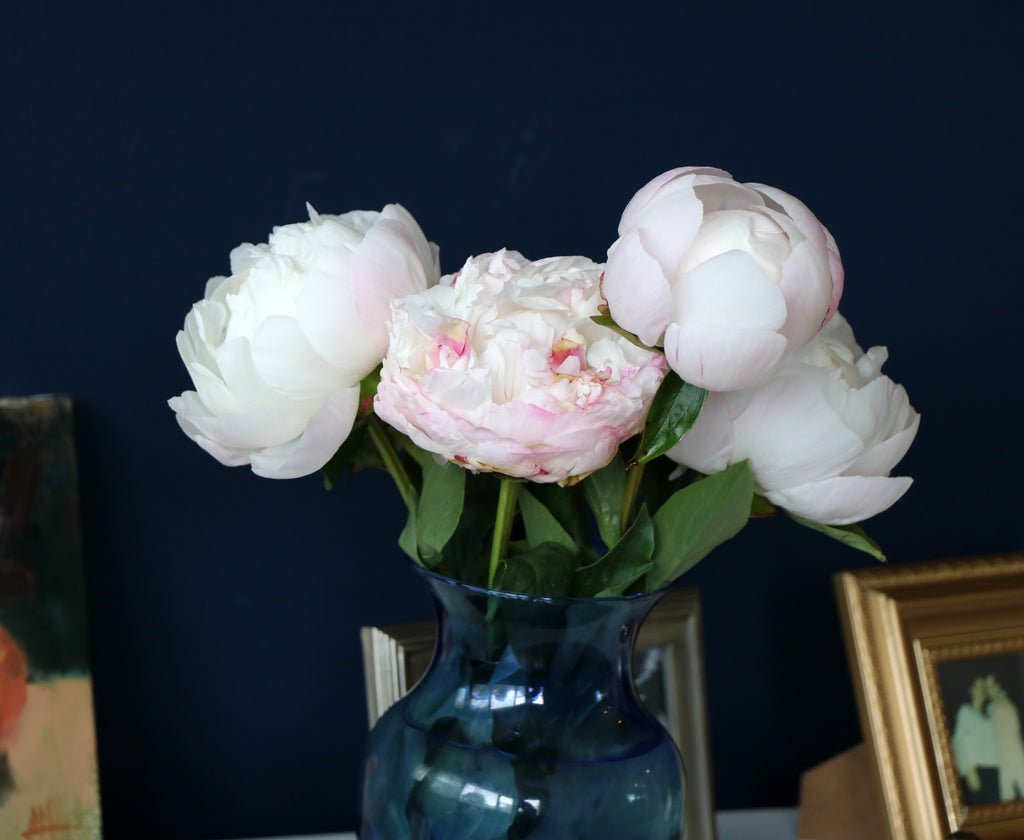 Cut Peonies