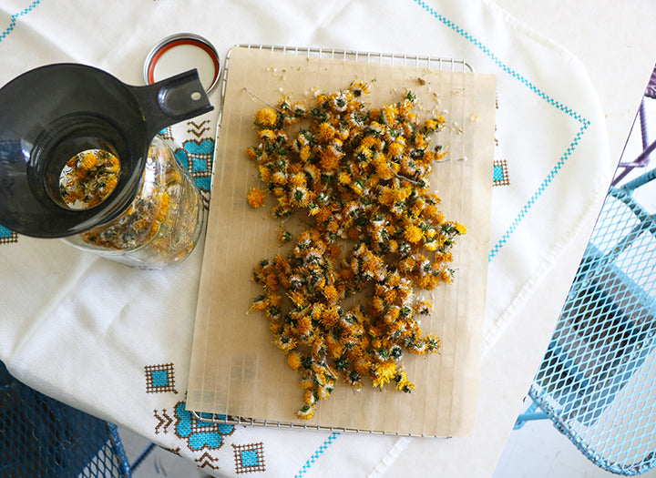 Making Stuff with Wild Herbs and Berries