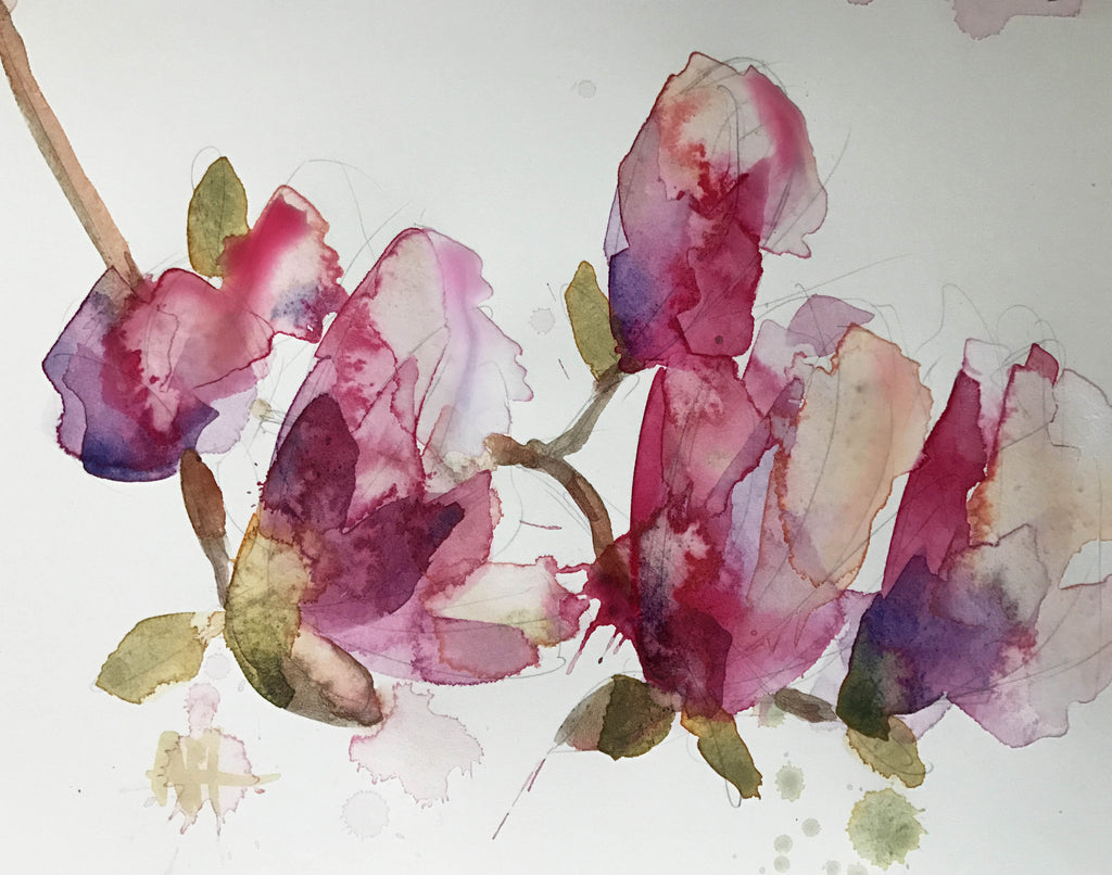 Magnolia Blossoms in Watercolor