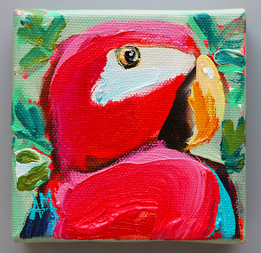Tropical Birds Coming Soon!