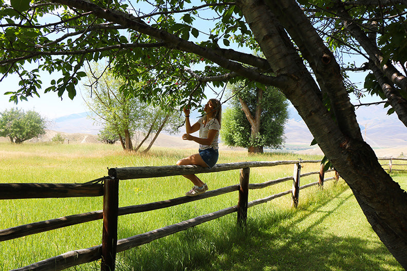 Picking Cherries and Painting Flowers