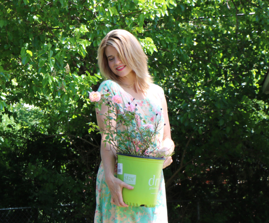 Bloom Where You Are Planted