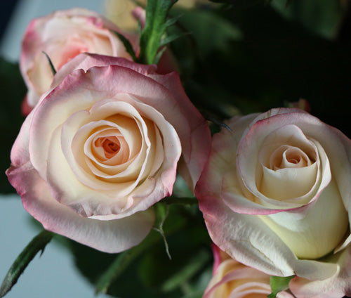 Beautiful Things