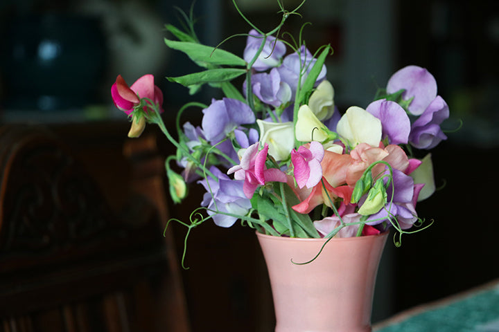 Summer Flowers