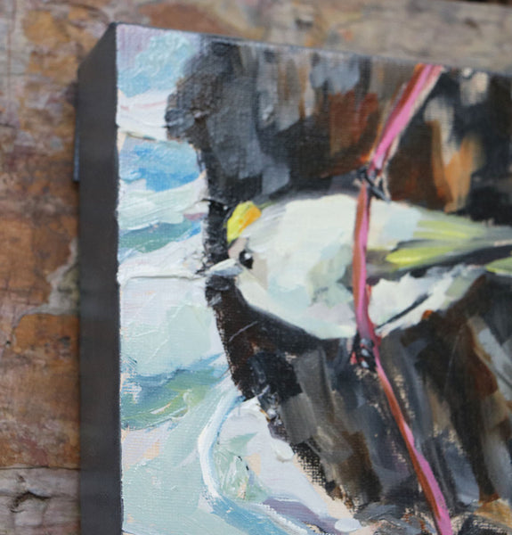 Gold-Crowned Kinglet on Twig Original Painting by Angela Moulton
