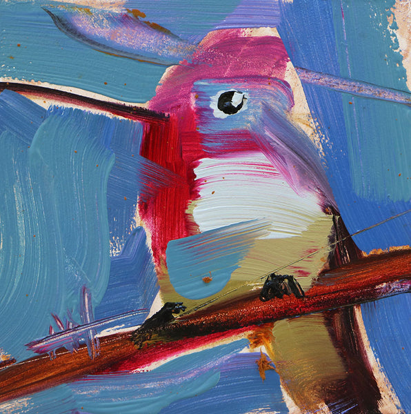 Hummingbird Original Oil Painting by Angela Moulton