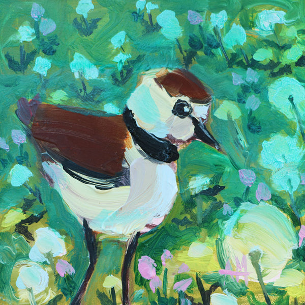 Killdeer Original Painting by Angela Moulton