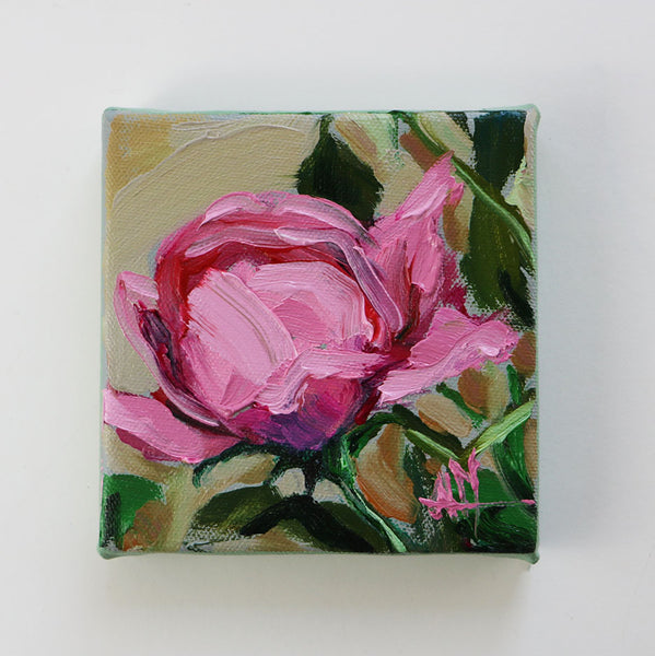 Pink Garden Rose Original Painting by Angela Moulton