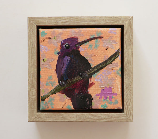 Purple Hummingbird Framed Original Painting by Angela Moulton