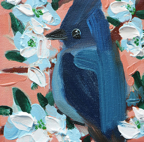 Spring Steller's Jay Original Painting by Angela Moulton