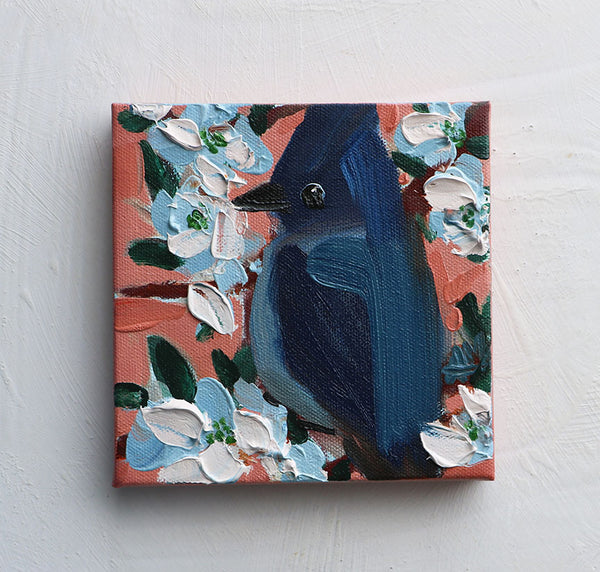 Spring Steller's Jay Original Painting by Angela Moulton