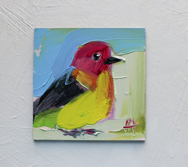 Western Tanager on Blue Original Painting by Angela Moulton